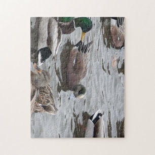 Ente, Amerikanische Pfeifente, Vogel, Kennewick, W Puzzle