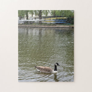 Ente auf dem Fluss Avon Bird Nature Fotografy Puzzle