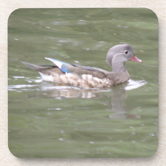 Ente auf dem Untersetzer Lake Cork (Vorderseite)