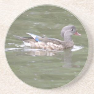 Ente auf den Untersetzer am See