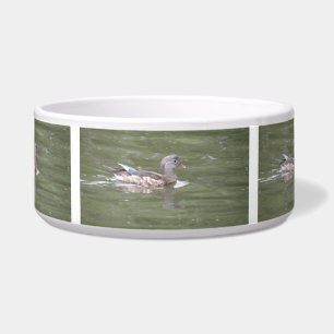 Ente auf der Dog Bowl Napf