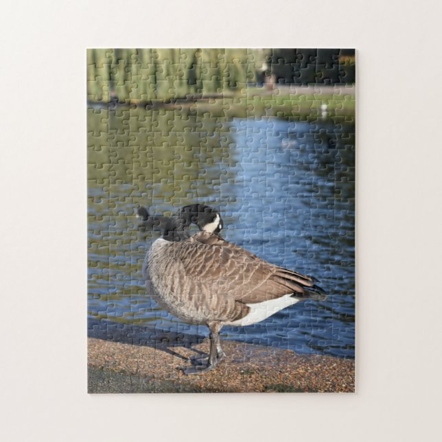 Ente auf der Wasservogelfotografie Puzzle (Vertikal)