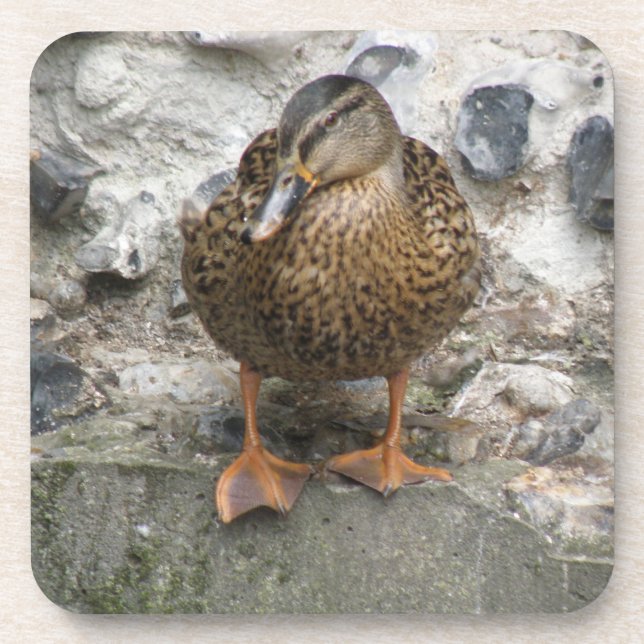 Ente auf einem Wall-Cork-Untersetzer Getränkeuntersetzer (Vorderseite)