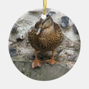 Ente auf einem Wandschmuck Keramik Ornament