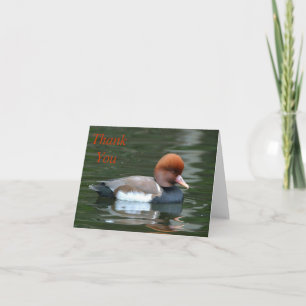 Ente auf Fluss danke beachten