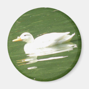 Ente auf Wasser Magnet