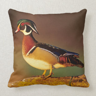 Ente aus männlichem Holz, Illinois Kissen