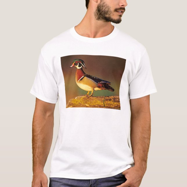 Ente aus männlichem Holz, Illinois T-Shirt (Vorderseite)
