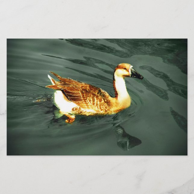 Ente Briefpapier (Vorderseite)