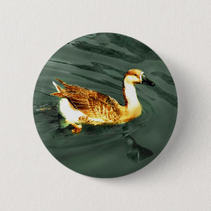 Ente Button