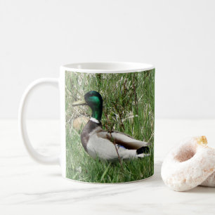 Ente Drake Greenhead der Stockenten-B55 im Gras Kaffeetasse