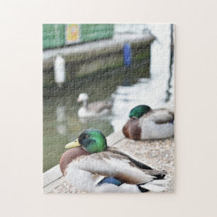 Ente durch die Wasservogelfotografie Puzzle