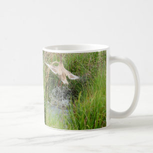 Ente entfernen sich, vor u. nachher kaffeetasse
