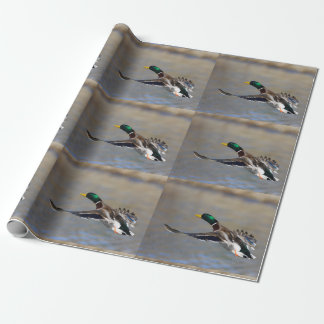 Ente im Flug Geschenkpapier