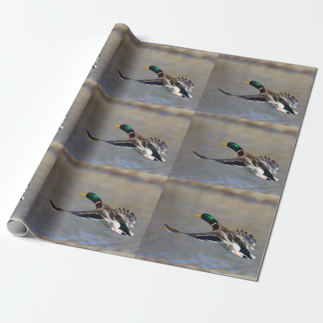 Ente im Flug Geschenkpapier (Ungerollt)