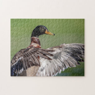 Ente im Hudson-Tal Puzzle
