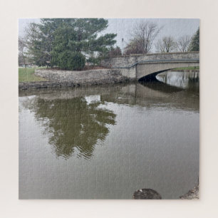 Ente im Wasserspuzzle Puzzle