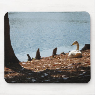Ente in der Sonne Mousepad