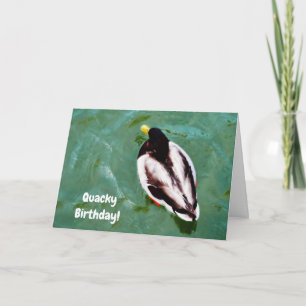 Ente in einem See Quacky Birthday Card Karte