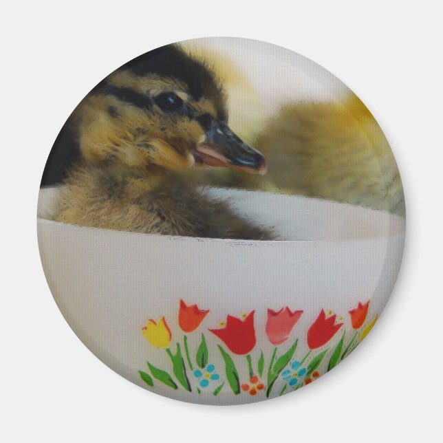 Ente in einem Teacup 2 Magnet (Vorne)