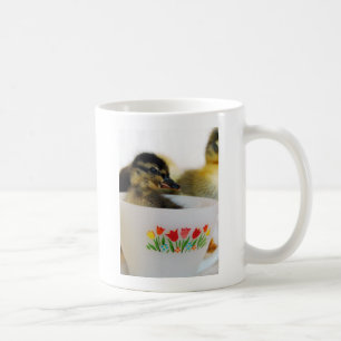 Ente in einer Teetasse