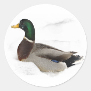 Ente in Snow Runder Aufkleber