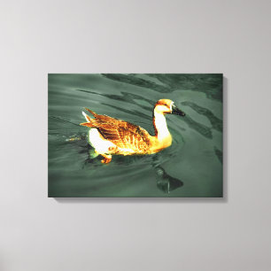 Ente Leinwanddruck