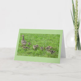 Ente mit Ducklings Karte