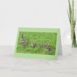 Ente mit Ducklings Karte
