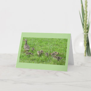 Ente mit Ducklings Karte