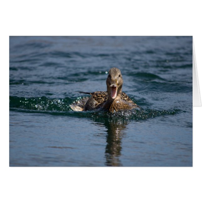 Ente mit offenem Schnabel (Vorderseite (Horizontal))