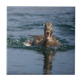 Ente mit Schnabel offen Fliese