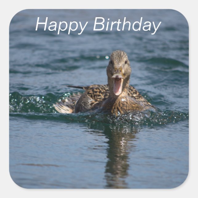 Ente mit Schnabel offen Quadratischer Aufkleber (Vorderseite)