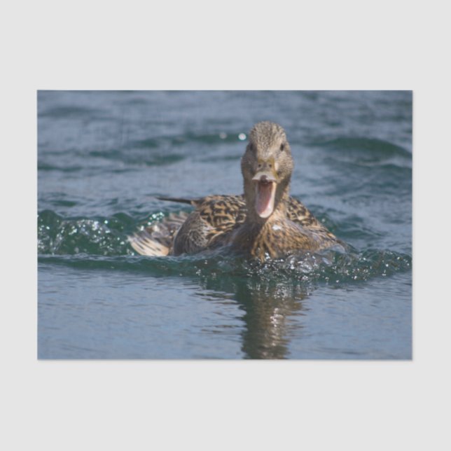 Ente mit Schnabel offen Seidenpapier (Vorderseite)