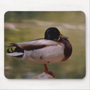 Ente Mousepad