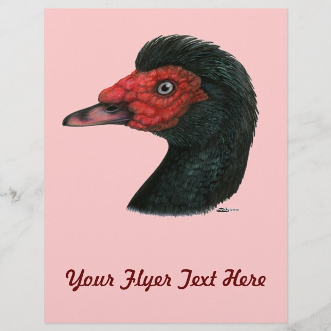 Ente: Muscovy Head Flyer (Vorne)