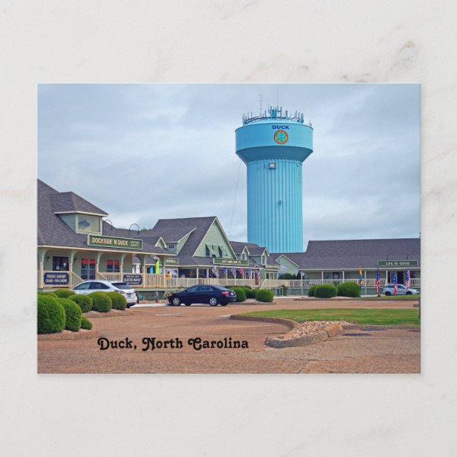 Ente, North Carolina Postcard Postkarte (Vorderseite)