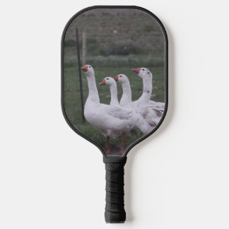Ente Pickleball Schläger
