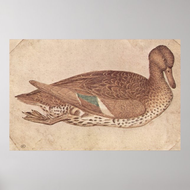 Ente - Pisanello - c1440 Poster (Vorne)
