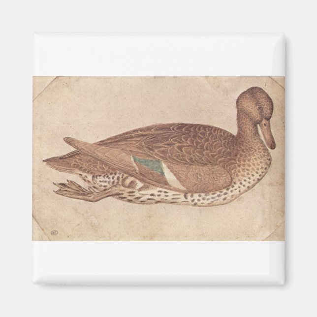 Ente - Pisanello Magnet (Vorne)