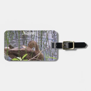 Ente schwimmt auf einem Teich Gepäckanhänger
