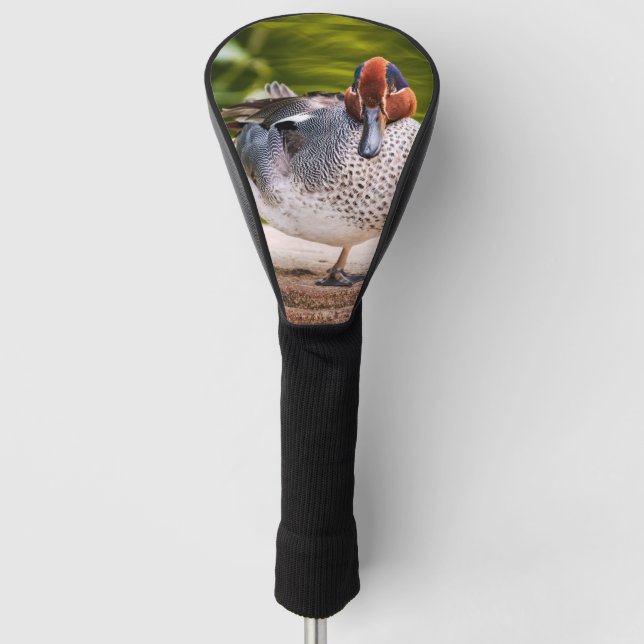 Ente stößt auf golf headcover (Vorderseite)
