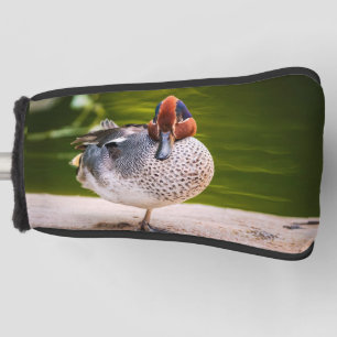 Ente stößt auf golf headcover