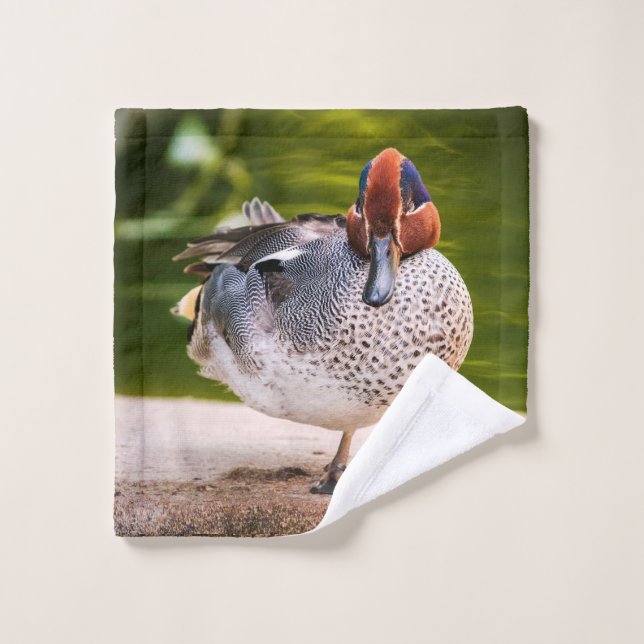 Ente stößt auf waschlappen (Waschlappen)