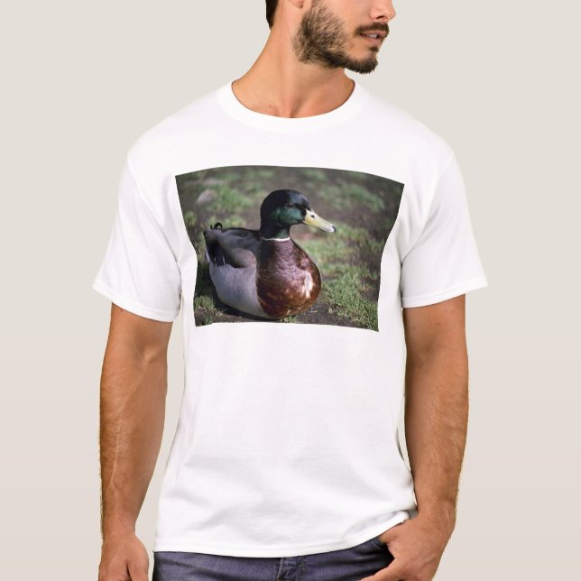 Ente T-Shirt (Vorderseite)