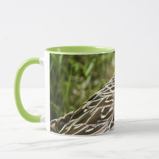 Ente Tasse (Links)
