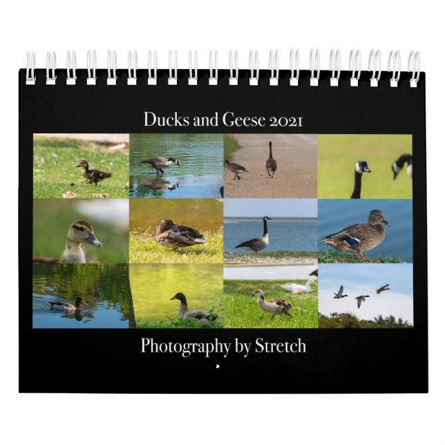 Ente und Gänse Fotografie 2021 Kalender (Titelbild)