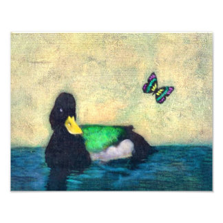 Ente und Schmetterling Fotodruck