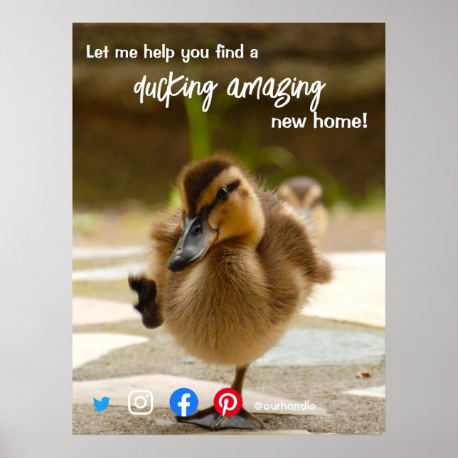 Ente wunderschönes phantastisches Anwesen Agent Ma Poster (Vorne)