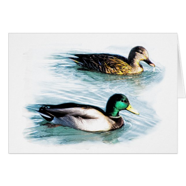 Enten am See (Vorderseite (Horizontal))